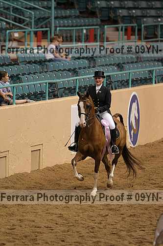 Proof 09yn-13857