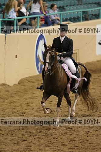 Proof 09yn-13864