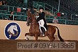 09yn-13865 proof