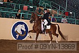 09yn-13869 proof