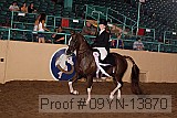 09yn-13870 proof