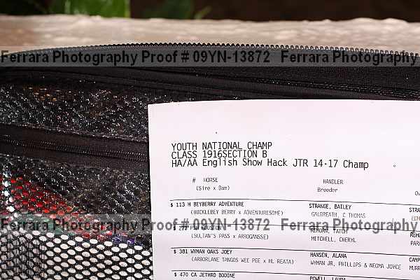 Proof 09yn-13872