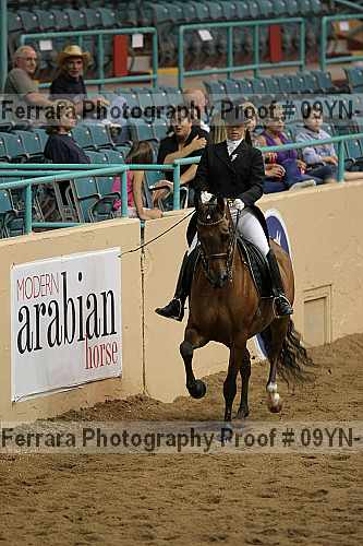 Proof 09yn-13874