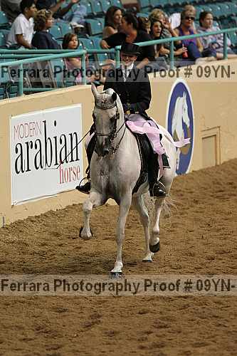 Proof 09yn-13884
