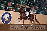 09yn-13890 proof
