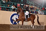 09yn-13891 proof
