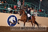 09yn-13894 proof