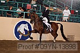 09yn-13898 proof
