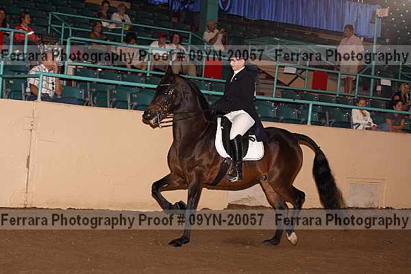 Proof 09yn-20057