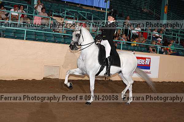 Proof 09yn-20058