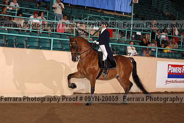 Proof 09yn-20059