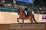 09yn-20059 proof