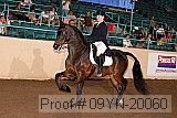 09yn-20060 proof