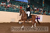 09yn-20061 proof