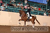 09yn-20062 proof