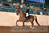 09yn-20063 proof