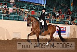 09yn-20064 proof