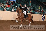 09yn-20065 proof