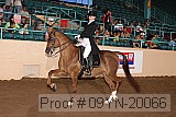 09yn-20066 proof
