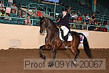 09yn-20067 proof