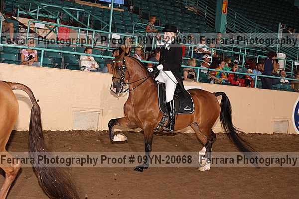 Proof 09yn-20068