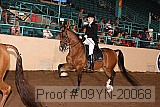 09yn-20068 proof