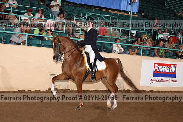 Proof 09yn-20069