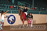 09yn-20089 proof