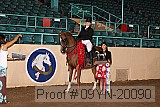 09yn-20090 proof