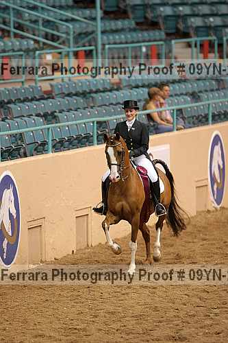 Proof 09yn-20101