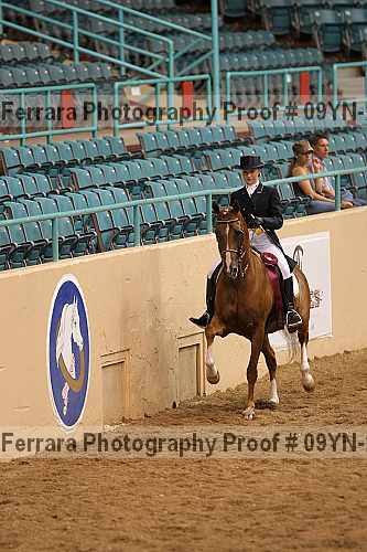 Proof 09yn-20103