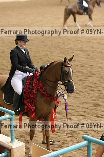 Proof 09yn-20104