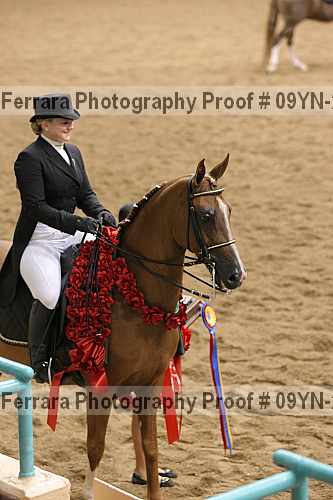 Proof 09yn-20105