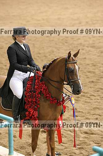 Proof 09yn-20107