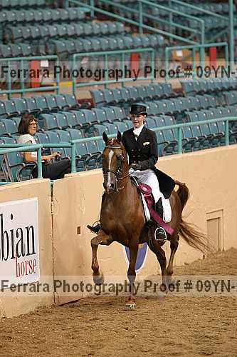 Proof 09yn-20109