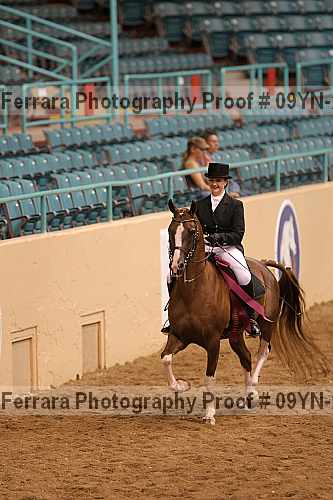 Proof 09yn-20110