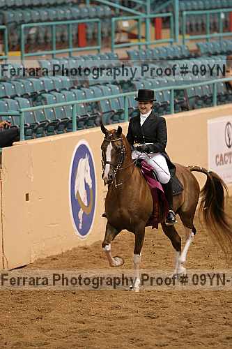 Proof 09yn-20111