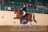 09yn-20113 proof