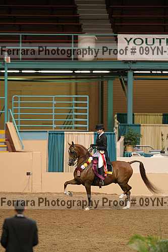 Proof 09yn-20114