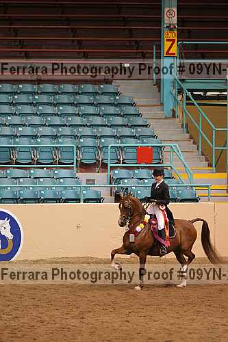 Proof 09yn-20115