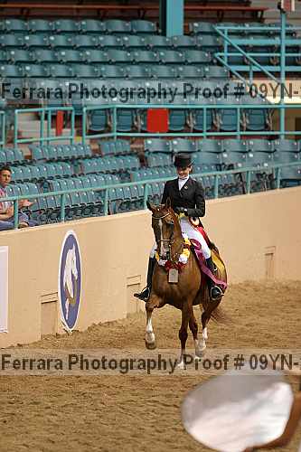 Proof 09yn-20117