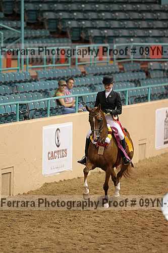 Proof 09yn-20118