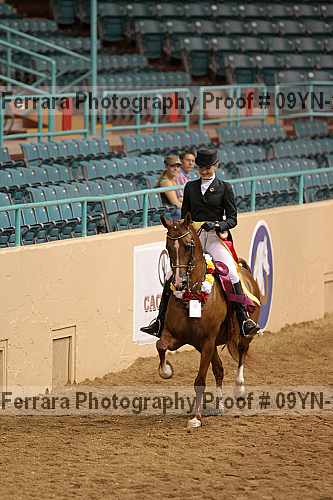Proof 09yn-20119