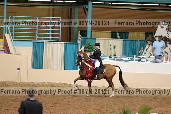 Proof 09yn-20121