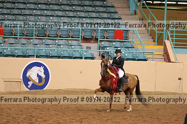 Proof 09yn-20122