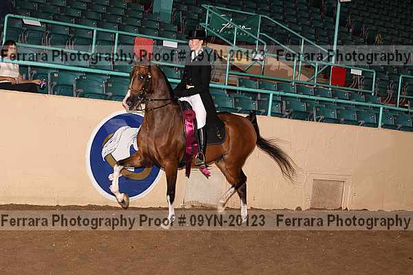 Proof 09yn-20123
