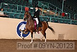 09yn-20123 proof
