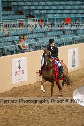 Proof 09yn-20124