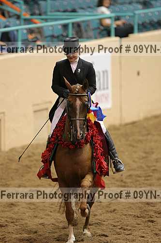 Proof 09yn-20128