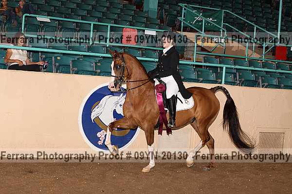 Proof 09yn-20130